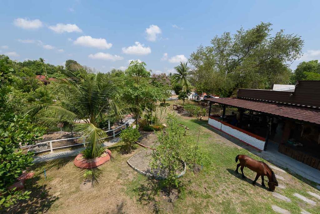 Cowboy Farm Resort Pattaya Ban Huai Yai エクステリア 写真