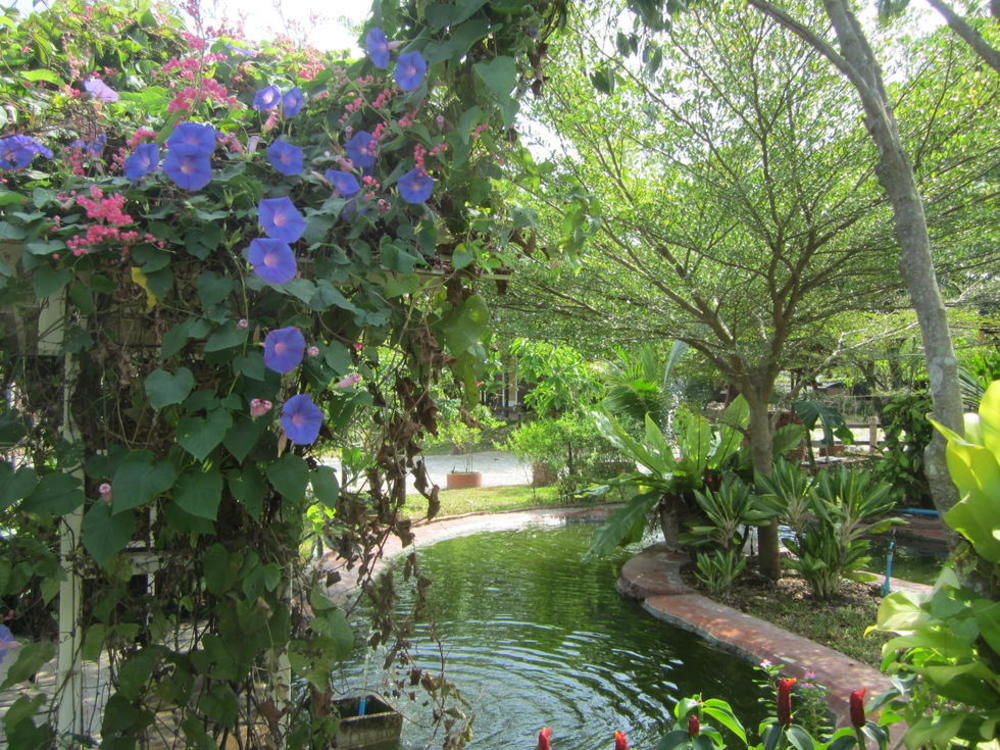 Cowboy Farm Resort Pattaya Ban Huai Yai エクステリア 写真