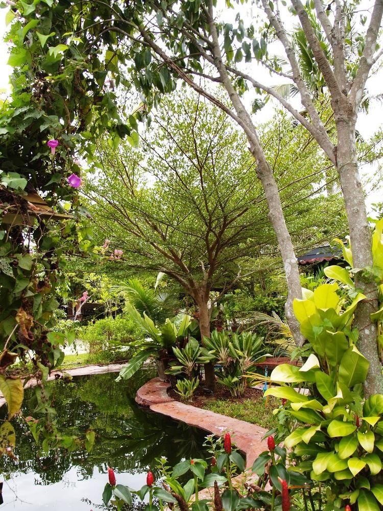 Cowboy Farm Resort Pattaya Ban Huai Yai エクステリア 写真